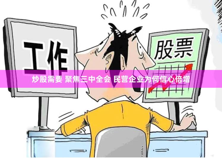 炒股需要 聚焦三中全会 民营企业为何信心倍增