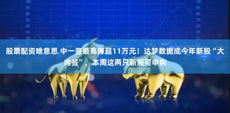 股票配资啥意思 中一签最高赚超11万元！达梦数据成今年新股“大肉签”，本周这两只新股可申购