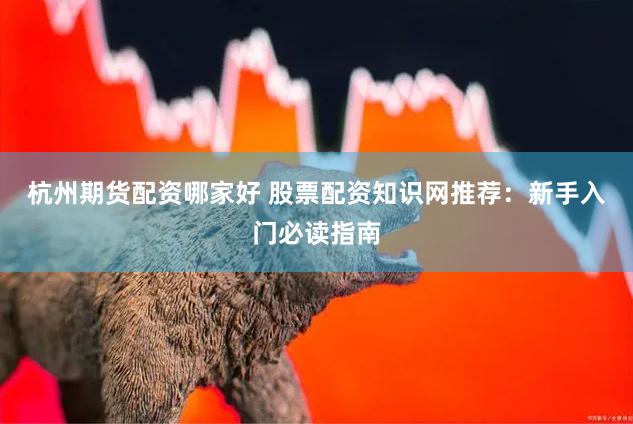 杭州期货配资哪家好 股票配资知识网推荐：新手入门必读指南