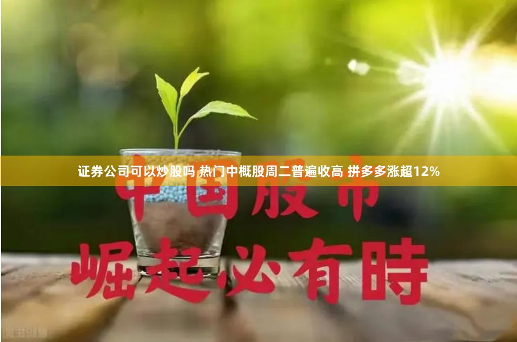 证券公司可以炒股吗 热门中概股周二普遍收高 拼多多涨超12%